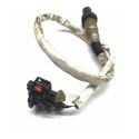 Sonda Lambda Gm Cruze 1.8 2012 Original 55572215 Cx269