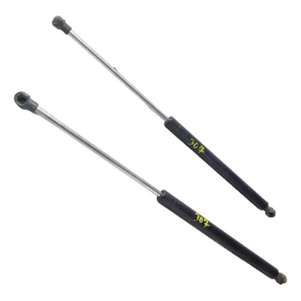 Amortecedor Tampa Traseira Peugeot 307 2002 A 2010 Par Cx174