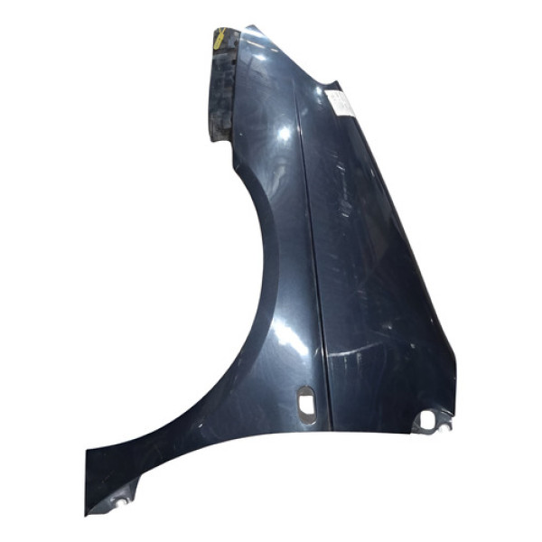 Paralama Esquerdo Renault Scenic 2003 A 2012