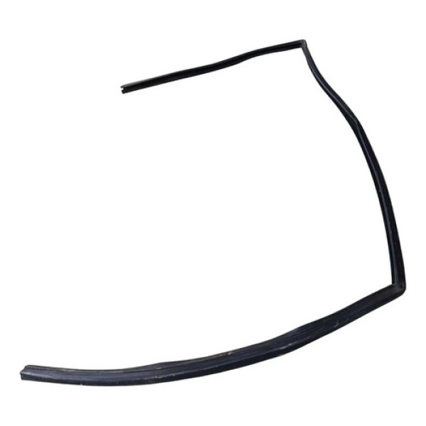 Borracha Canaleta Porta Dianteira Direita Ford Fiesta 2016