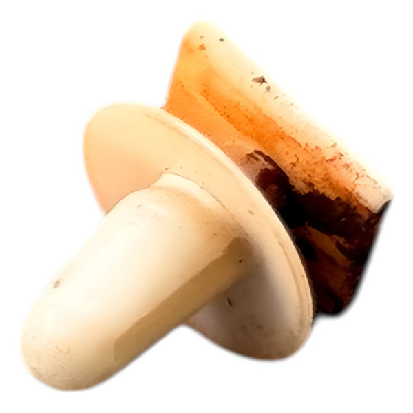 Grampo Presilha Moldura Maçaneta Tampa Traseira L200 Triton